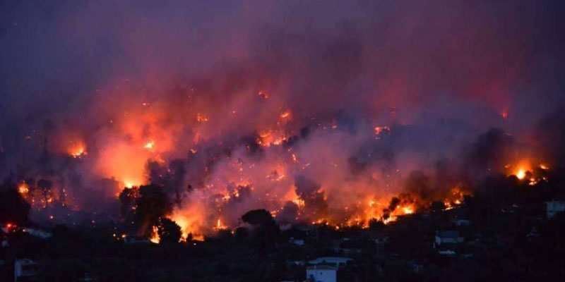 اليونان: الحرائق تمحو قرية من الوجود